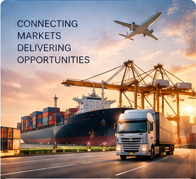 Logistics and customs solutions